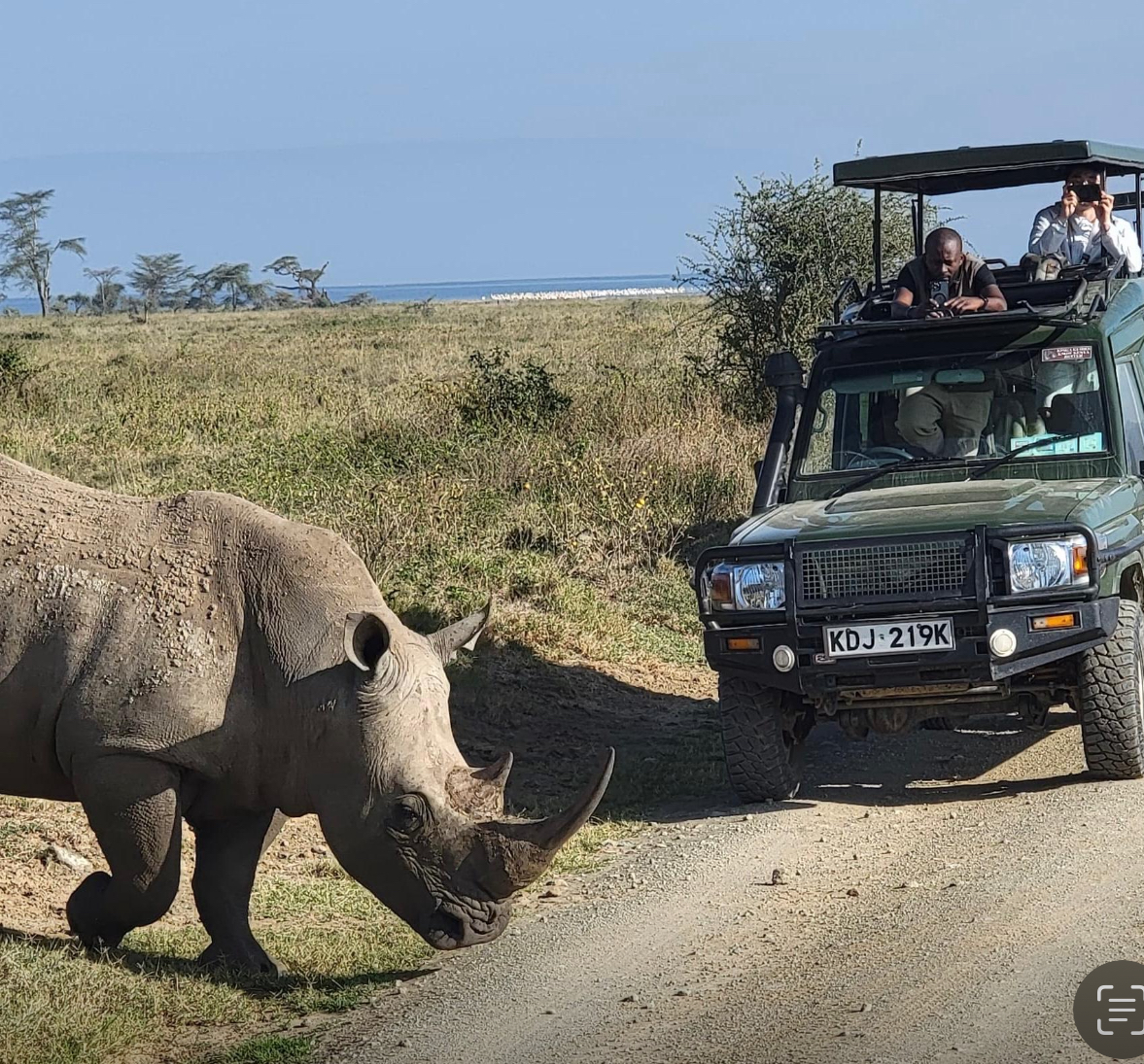 Other Safari Partners